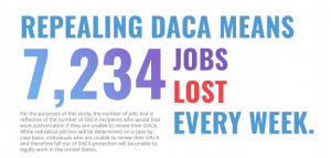 - the economic blows of ending daca
