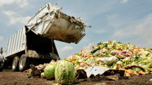 - Waste: a million-dollar business