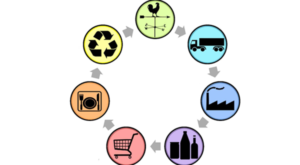 Managing quality in the delivery chain - CEO North America - Managing quality in the delivery chain