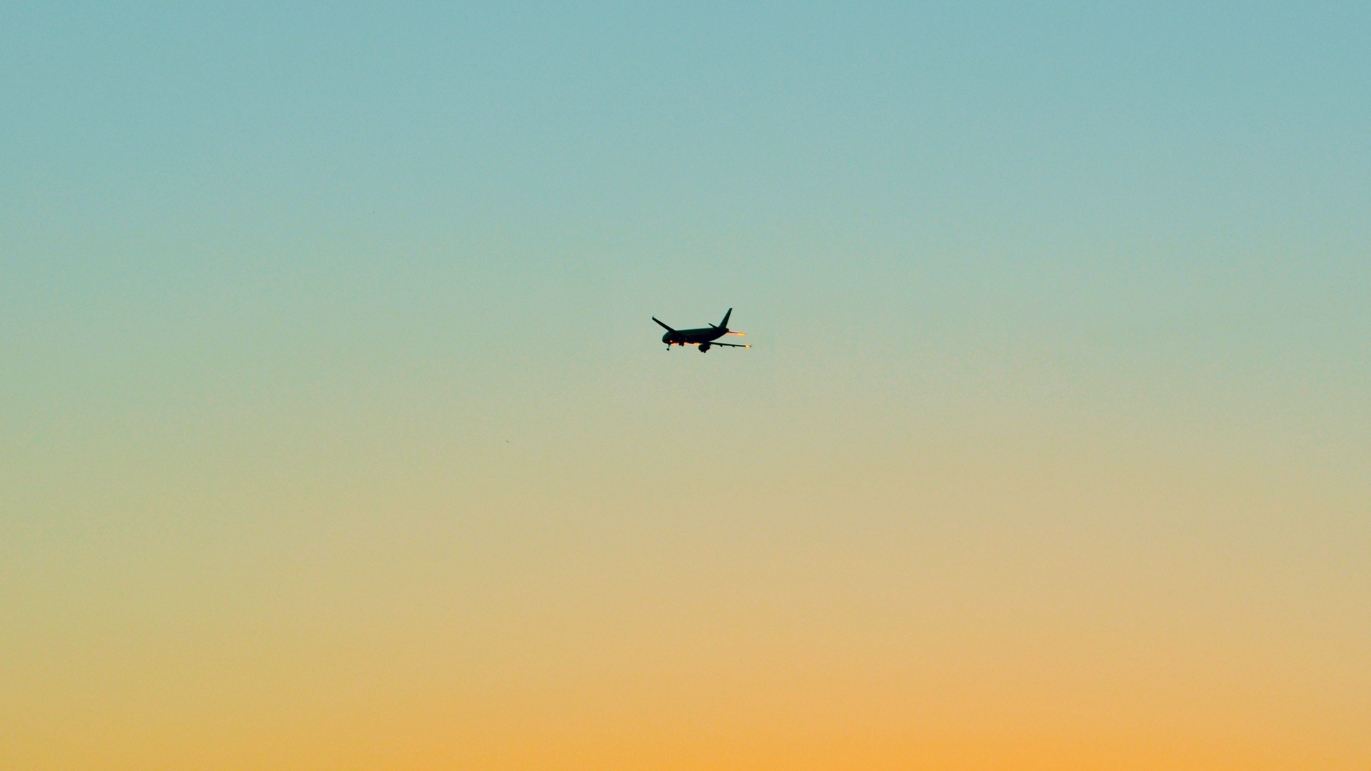 No Planes Up In The Sky Chief Executive Officer North America No Planes Up In The Sky Chief Executive Officer North America